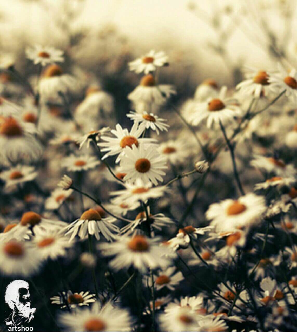 آموزش نقاشی رنگ روغن